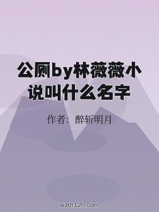 公厕by林薇薇小说叫什么名字