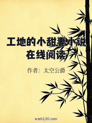 工地的小甜妻小说在线阅读