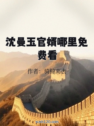沈曼玉官婿哪里免费看