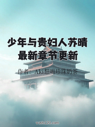 少年与贵妇人苏晴最新章节更新