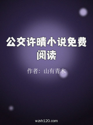 公交许晴小说免费阅读