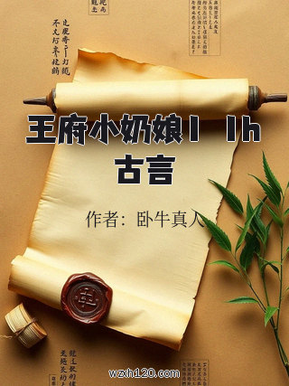 王府小奶娘1ⅴ1h古言