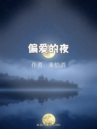 偏爱的夜