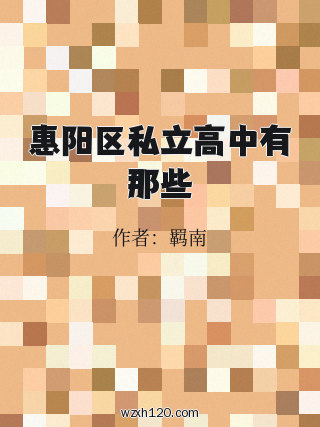 惠阳区私立高中有那些