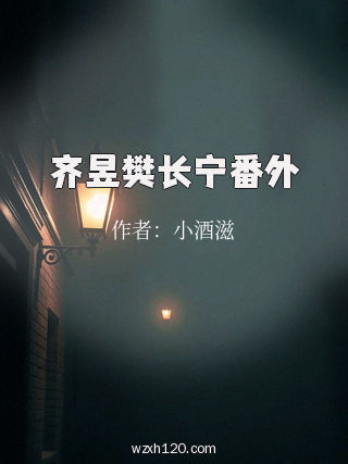 齐昱樊长宁番外