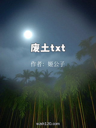 废土txt