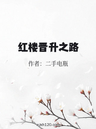 红楼晋升之路