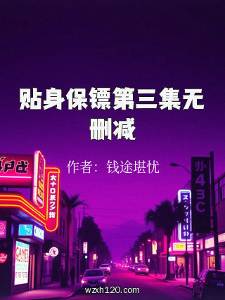 贴身保镖第三集无删减