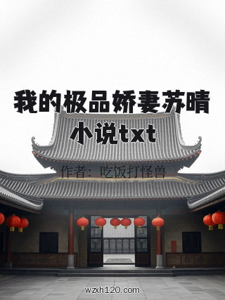 我的极品娇妻苏晴小说txt