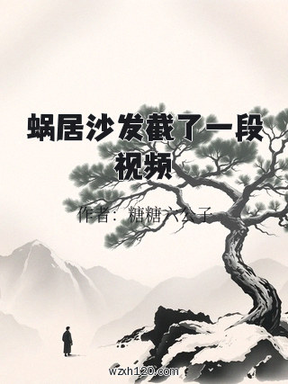 蜗居沙发截了一段视频
