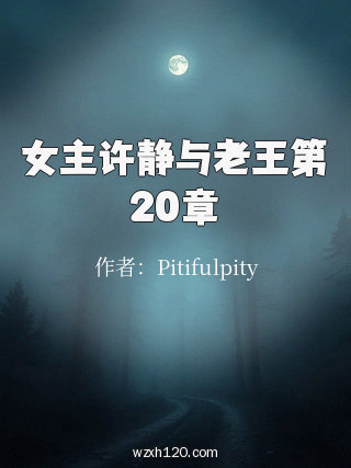 女主许静与老王第20章