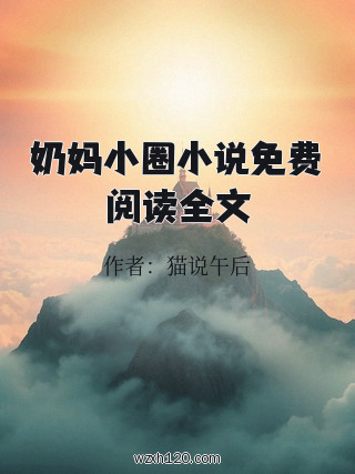 奶妈小圈小说免费阅读全文