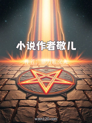 小说作者敬儿