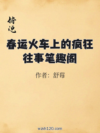 春运火车上的疯狂往事笔趣阁