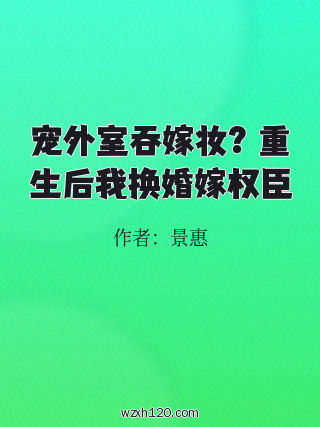 宠外室吞嫁妆?重生后我换婚嫁权臣