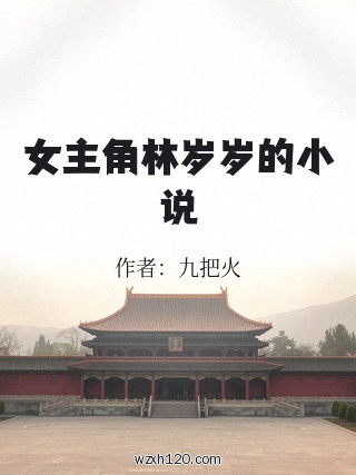 女主角林岁岁的小说