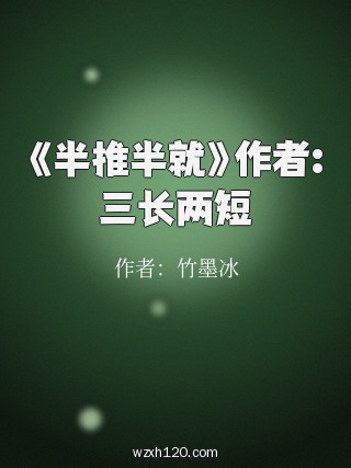 《半推半就》作者:三长两短