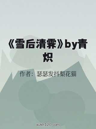 《雪后清霁》by青炽
