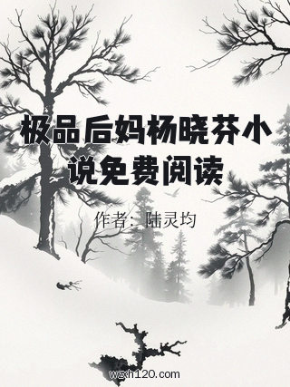 极品后妈杨晓芬小说免费阅读