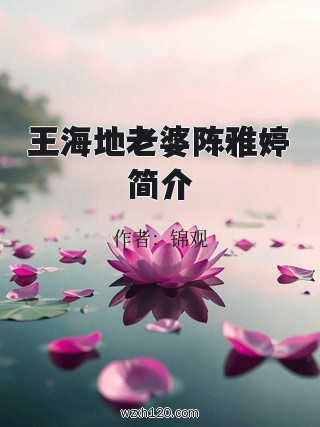 王海地老婆陈雅婷简介