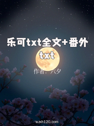 乐可txt全文+番外txt