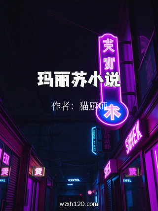 玛丽苏小说