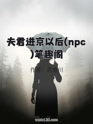 夫君进京以后(npc)笔趣阁