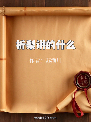 折梨讲的什么