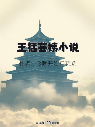 王猛芸姨小说