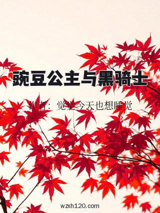 豌豆公主与黑骑士