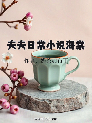 夫夫日常小说海棠