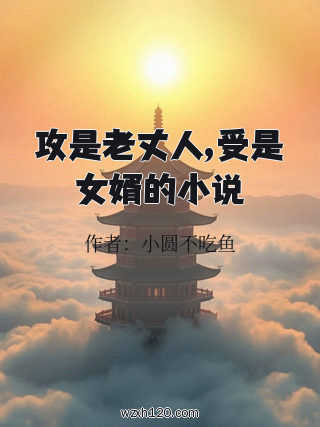 攻是老丈人,受是女婿的小说