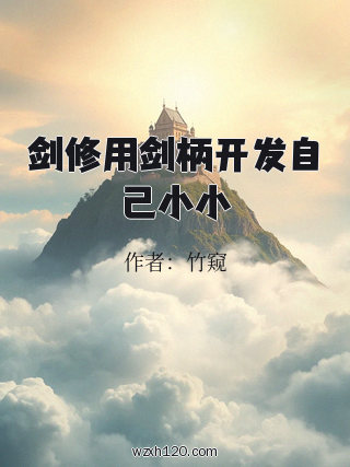 剑修用剑柄开发自己小小