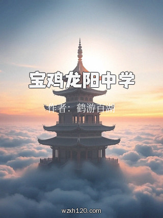 宝鸡龙阳中学