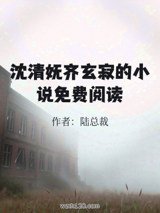 沈清妩齐玄寂的小说免费阅读