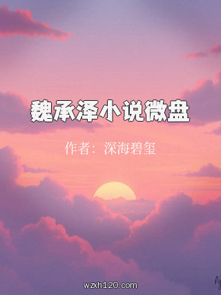 魏承泽小说微盘