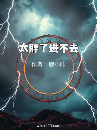 太胖了进不去