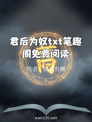 君后为奴txt笔趣阁免费阅读