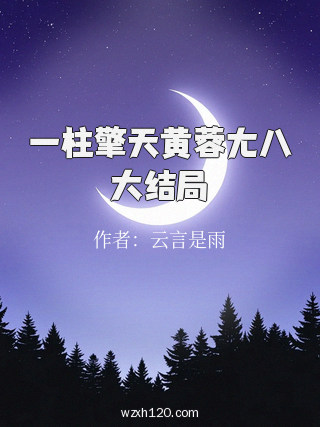 一柱擎天黄蓉尢八大结局