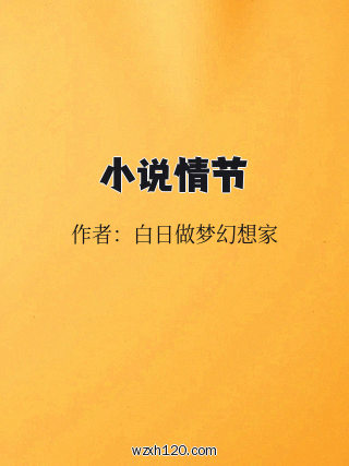 小说情节