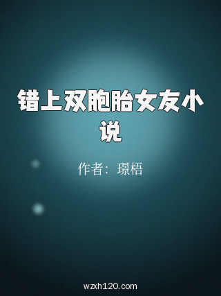 错上双胞胎女友小说