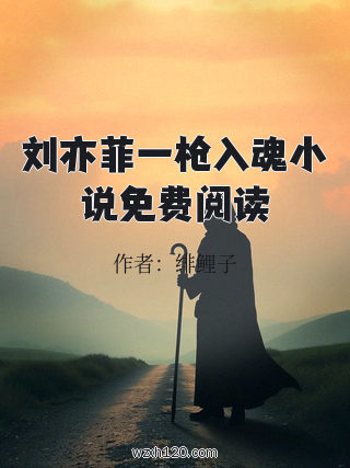 刘亦菲一枪入魂小说免费阅读