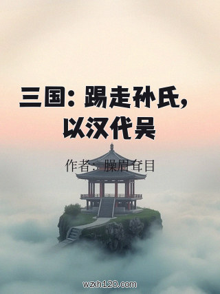 三国：踢走孙氏，以汉代吴