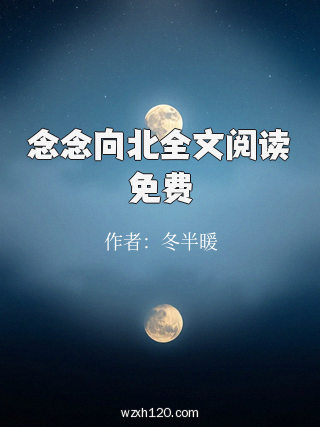 念念向北全文阅读免费