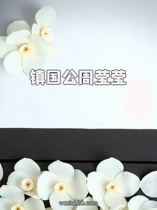 镇国公周莹莹