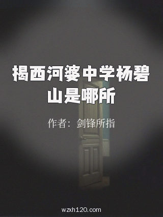 揭西河婆中学杨碧山是哪所