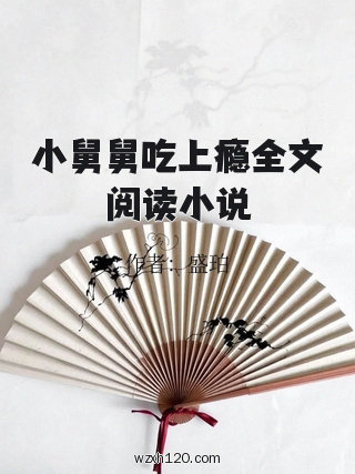 小舅舅吃上瘾全文阅读小说