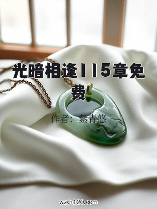 光暗相逢115章免费