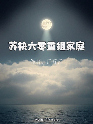 苏袂六零重组家庭