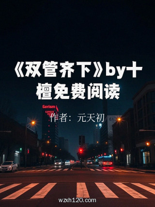 《双管齐下》by十檀免费阅读